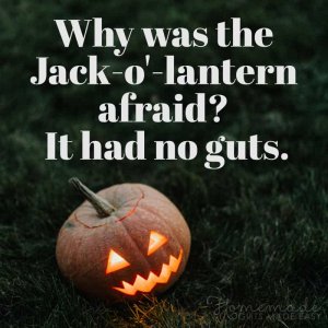 halloween-jokes-why-jack-o-lantern-afraid-no-guts-800x800.jpg