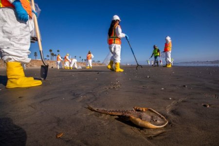 oil spill.jpg
