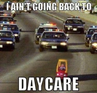 d98fa371a31b0e8d957ecb78a1083751[1].jpg