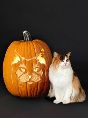 halloween100721.jpg