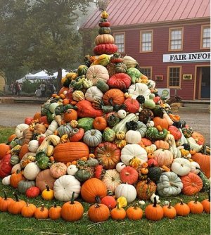 pumpkin pile.jpg