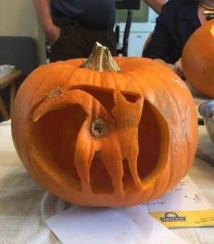 happy halloween.jpeg