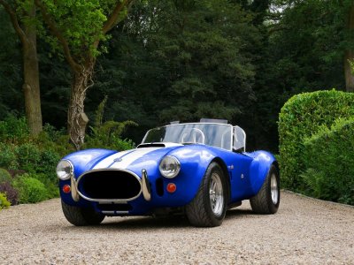 electric-front-blue cobra.jpg