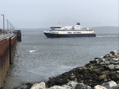 Ferry.jpg