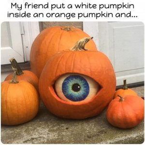 244253431_895819297716325_78556080767695033_n[1].jpg