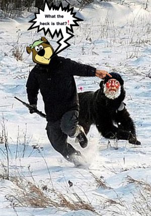 Yogi B.jpg