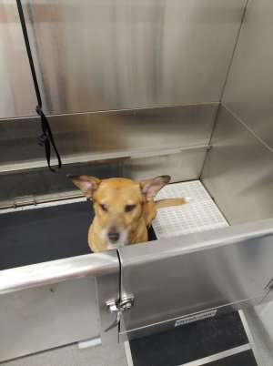 showering.jpg