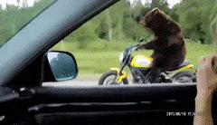1633781754667.gif