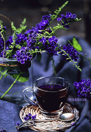 a8630248e34f6937cdf3f84fac7339a9.gif