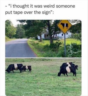 you-see-the-signs.jpeg