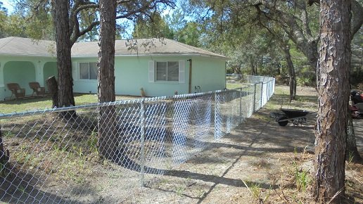 fence 2.JPG