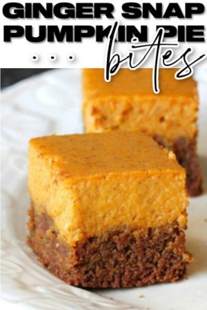 PUMPKIN-PIE-BITES-5[1].jpg