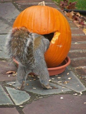 halloween101121.jpg