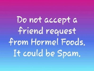 spam.jpg