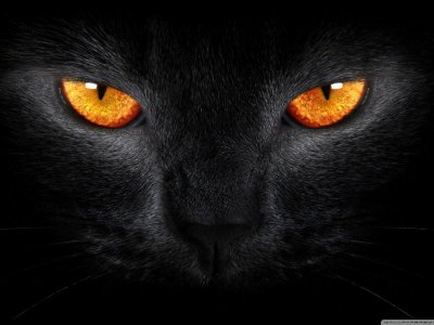 127-1271595_full-screen-black-wallpaper-hd.jpg