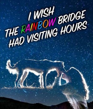 rainbowbridge.jpg