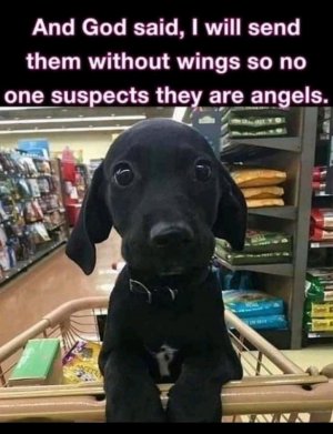 FB_IMG_16315923998332923.jpg