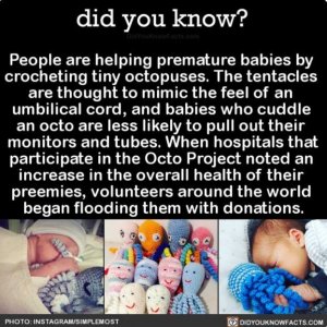 1105765a23070d28978a7efea576068a--local-hospitals-umbilical-cord.jpg