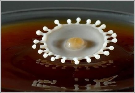 Milk-And-Coffee-Art-03.jpg