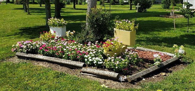 8-28-19 Pattys flowers.jpg