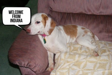 Welcome Rosie.jpg Welcome Rosie.jpg