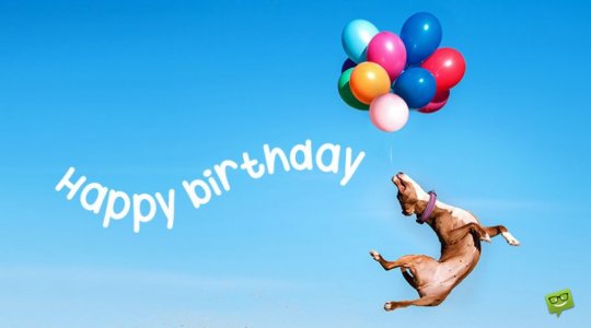 happy-birthday-boy-social.jpg