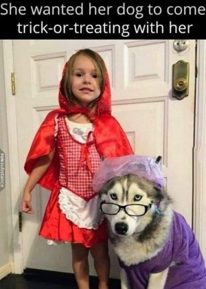 dogtrickortreat.jpg