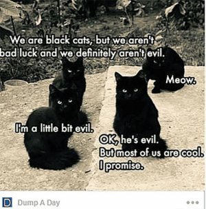 catsevil.jpg