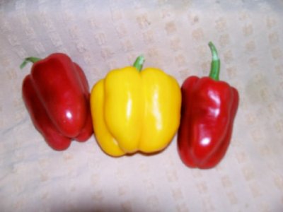 peppers.jpg