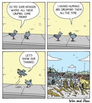 war-and-peas-show-thanks.jpg