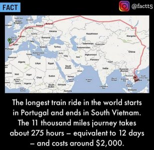 oddandesoteric101421.jpg