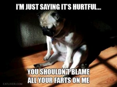 FB_IMG_16340090105717557.jpg