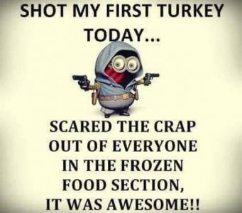 10 Thanksgiving Minion Quotes & Images.jpeg