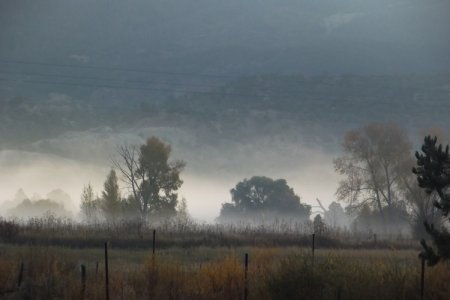 fog.jpg