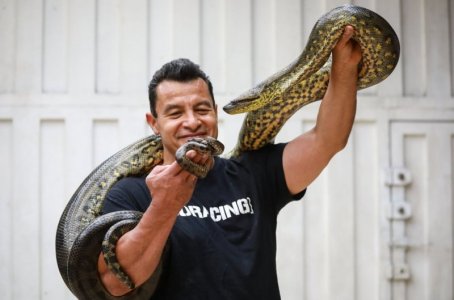 snake.jpg