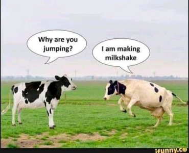 FB_IMG_16340087617054542.jpg