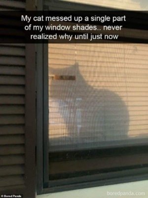 245280637_897744794190442_7694476636241504613_n[1].jpg