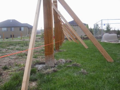 #7A Planting Posts.jpg