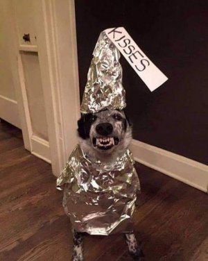 halloween101521.jpg