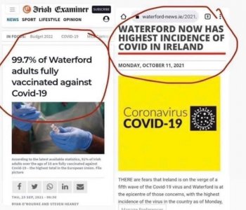 irishvax.jpeg