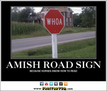 efc63701eeaff8bb78c9eacb12af05d7--amish-country-country-life.jpg