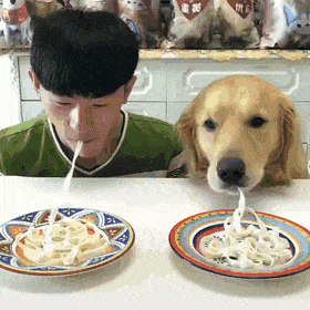 1634476025159.gif