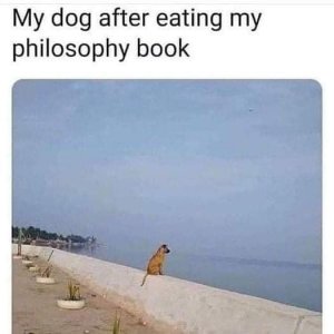 245787471_4411525405609331_1697034370620319076_n[1].jpg