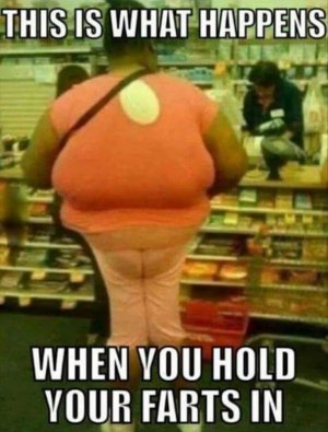 Hold_your_fart_in_Funny_Meme.jpg