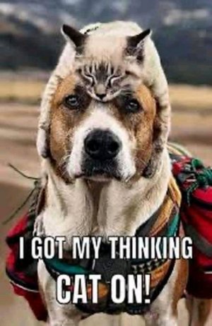 FB_IMG_16327089355768778.jpg
