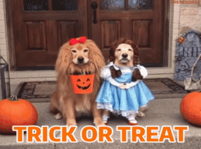 halloween-trick-or-treat.gif