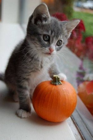 halloween101821.jpg