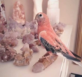 via-weheartit.jpg