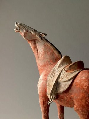 Horse-Tang-Dynasty-China.jpg