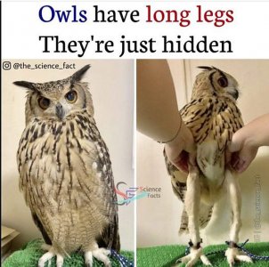 birds102121.jpg